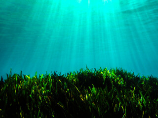 Dark blue ocean surface seen from underwater. Abstract waves underwater and rays of sunlight...
