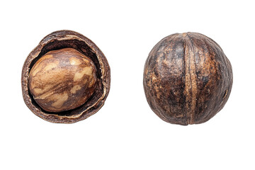 Discovering a hidden treasure inside nature's embrace a split cocoa pod revealing its secrets studio shot