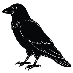 Fototapeta premium Crow isolated on white background