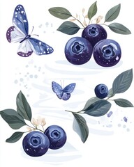 Graceful blueberry and butterfly  with soft background