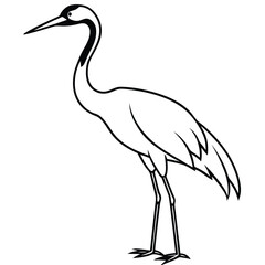 Crane isolated on white background