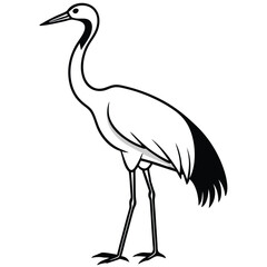 Crane isolated on white background