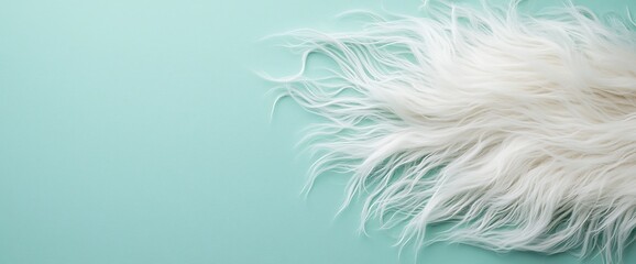 Obraz premium Fluffy white fur on mint green background