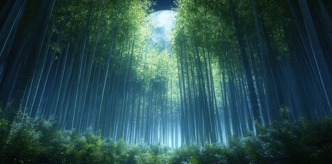 Lush Green Bamboo Forest With Moonlit Sky At Night