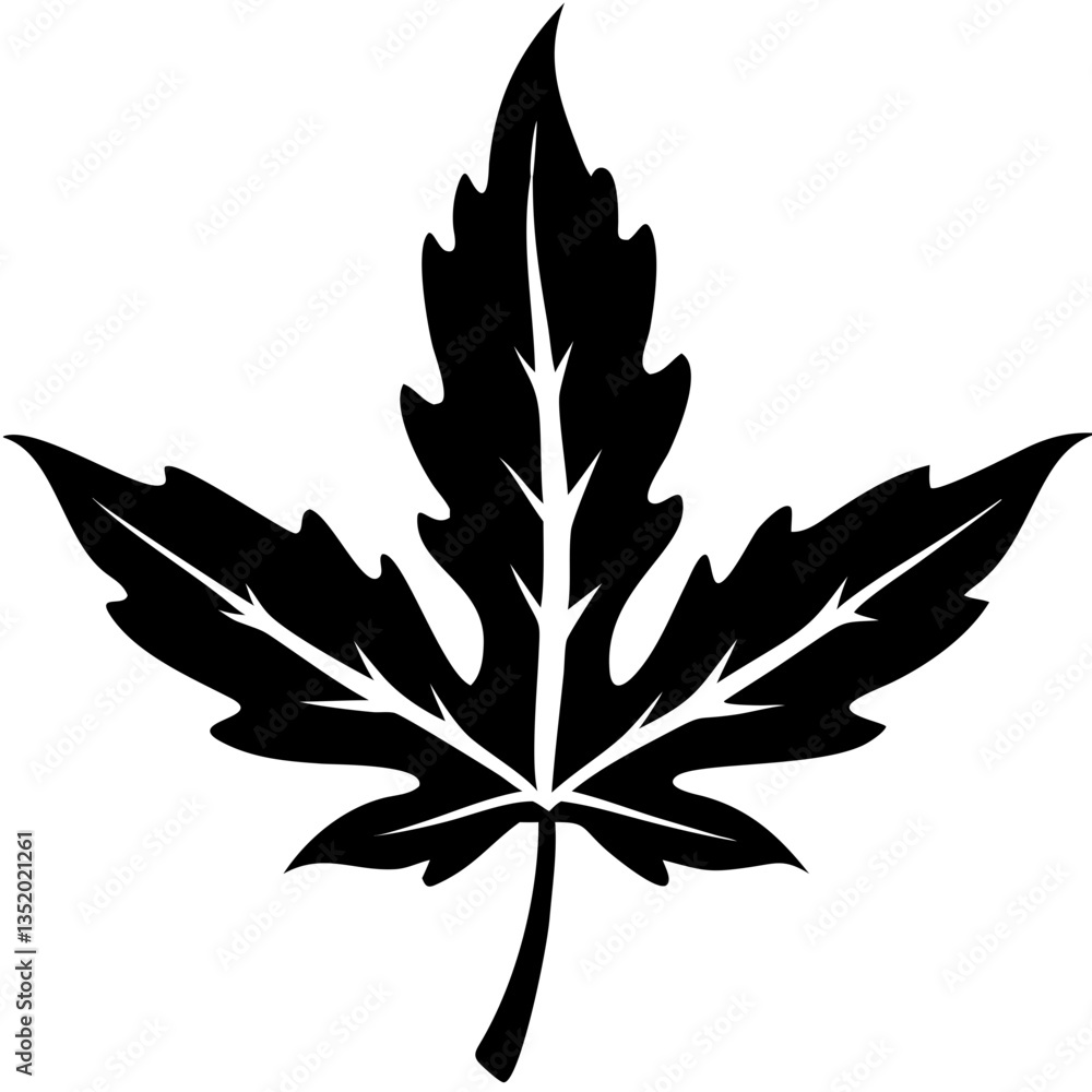 Poster black silhouette of maple leaf vector for design and print applications