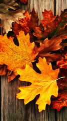Fototapeta premium Autumn leaves on wooden background; fall foliage, nature scene; seasonal design
