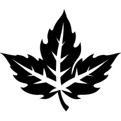 Black Maple Leaf Silhouette Vector for Nature Designs Tattoos and Craft Projects