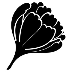 jasmine bud closed handrawn solid style illustration