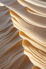 Fototapeta premium Waves of sand create mesmerizing patterns under soft natural light. Subtle textures and contours form an engaging abstract composition, highlighting the beauty of simplicity in nature