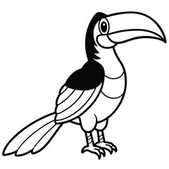 Hornbill isolated on white background