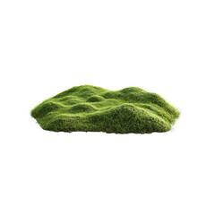 Fototapeta premium Vibrant green moss blankets the ground, creating a textured surface that supports various plant life in a serene outdoor environment.