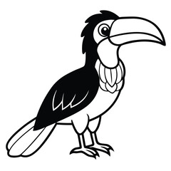 Hornbill isolated on white background