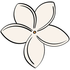 single plumeria with leaves handrawn line and color style illustration