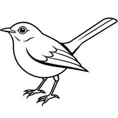Japanese bush warbler isolated on white background
