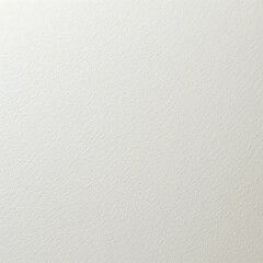 Plain White Textured Paper Background