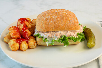 tuna salad sandwich  with tater tots
