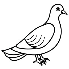 Dove line art isolated on white background