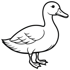 Duck line art isolated on white background
