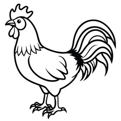 Rooster line art isolated on white background