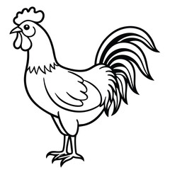 Rooster line art isolated on white background