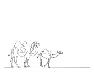 Camels one line drawing illustration. Camel walking in the desert  monoline design.