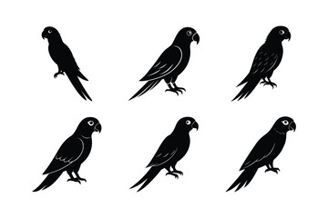 parrot perched vector silhouette design