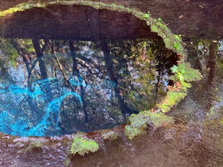 Kakita River Springs is a famous natural spring located in Shizuoka Prefecture, Japan. It is known...