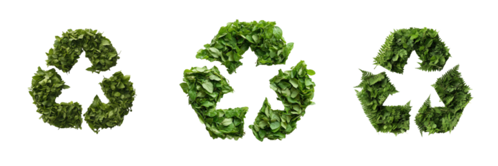 Close-up on nature showcasing sustainable practices in recycling on transparent background