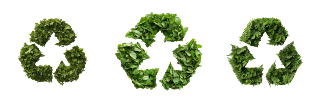 Close-up on nature showcasing sustainable practices in recycling on transparent background