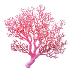 Obraz premium Pink Coral Branch Ocean Decor Underwater Scene