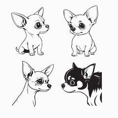 Set of Chihuahua dog vector icons, cute Chihuahua illustrations in black and white, small dog breed cartoon set