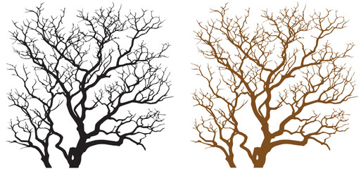 Minimal naked tree vector branches silhouette Dead tree isolated on white background vector illustrator 