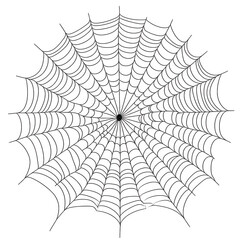 detailed and symmetrical spider web showcasing intricate patterns radiating from a central point it serves as a graphic representation often used in design art or educational materials