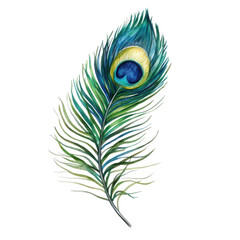 Obraz premium beautifully detailed peacock feather showcasing vibrant colors of blue green and yellow emphasizing its intricate patterns and natural beauty