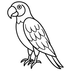 Abstract Macaw Vector Line Art