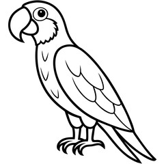 Abstract Macaw Vector Line Art
