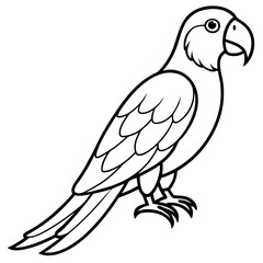 Abstract Macaw Vector Line Art