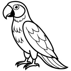 Abstract Macaw Vector Line Art