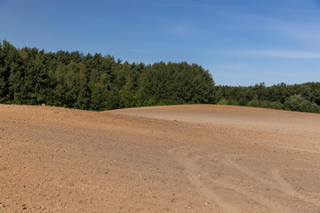 trees growing in the forest in spring next to the field on which the soil was plowed for sowing grain