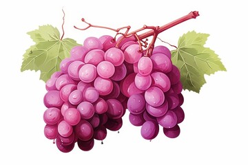 Fototapeta premium Minimalist logo design showcasing an isolated bunch of grapes against a pristine white background