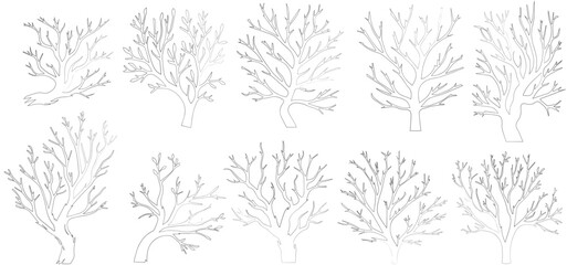 Collection of black silhouettes of tree branches