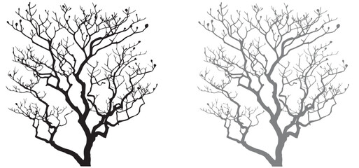 Minimal Autumn Naked Tree vector silhouette, Silhouette tree, black tree
