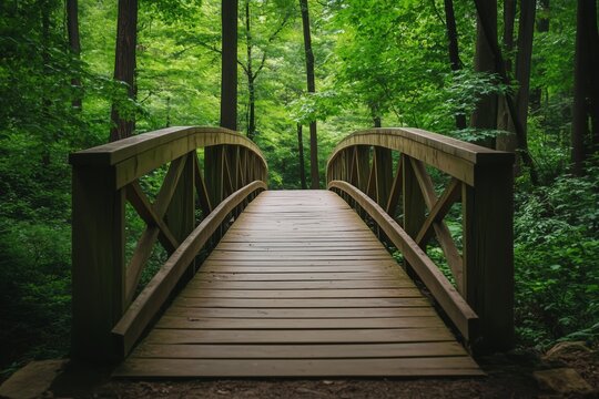 Fototapeta A serene wooden bridge stretches across a lush green forest, inviting explorers to discover the tranquility of nature and escape into the wild