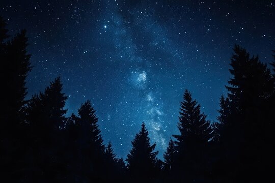Starry Night Over the Forest - Powered by Adobe