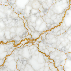 White Marble Texture with Gold Veins
