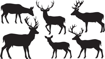Vector deer silhouettes depict wild mammals with antlers, illustrating nature's diverse wildlife