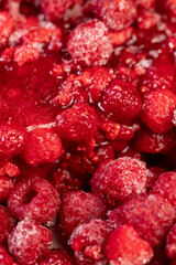 frozen sweet red raspberries for long-term storage