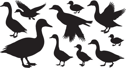 Obraz premium Set of bird silhouettes in vector style including ducks, geese, owls, doves, and more, perfect for wildlife, nature, and animal designs