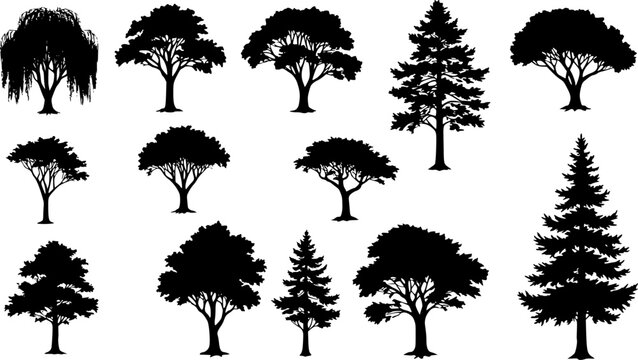 silhouette tree line drawing set, Side view, set of graphics trees elements outline symbol for architecture and landscape design drawing. Vector illustration in stroke fill in white. Tropical 