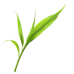 Green leaf vibrant stripes abstract art nature design